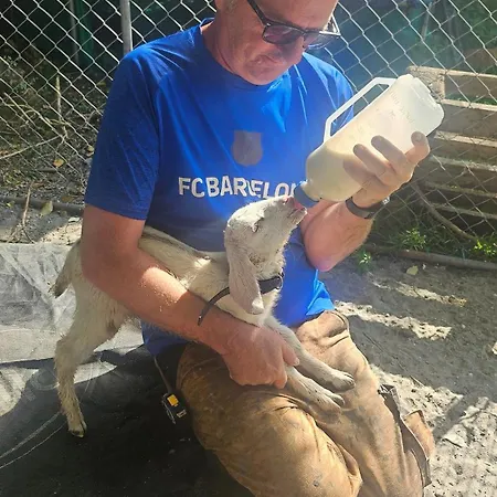 Apartment Private 1 Bedroom Cahersiveen