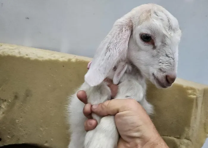 Private 1 Bedroom Apartment Cahersiveen