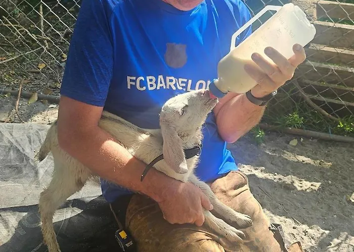 Apartment Private 1 Bedroom Cahersiveen